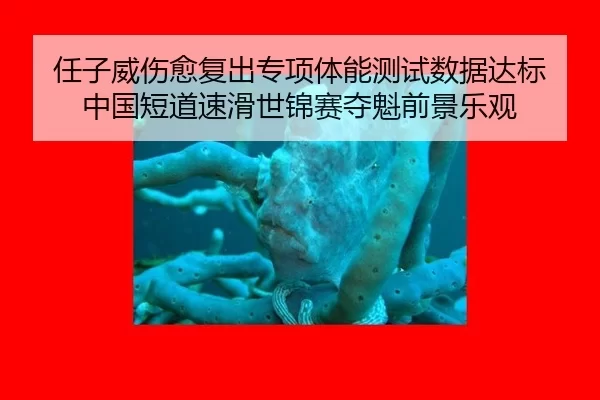 ren-zi-wei-shang-yu-fu-chu-zhuan-xiang-ti-neng-ce-shi-shu-ju-da-biao-zhong-guo-duan-dao-su-hua-shi-jin-sai-duo-kui-qian-2-125.jpg